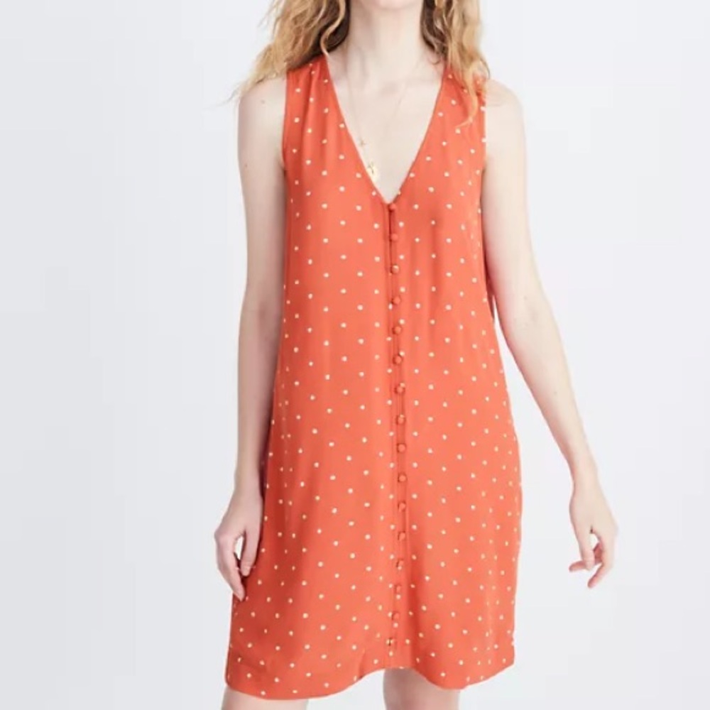 Madewell Heather Polka Dot Button Front Dress